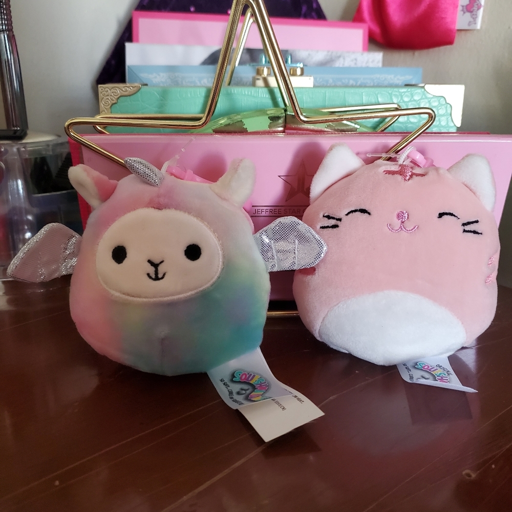 Last 2 Squishmallows Keychains!